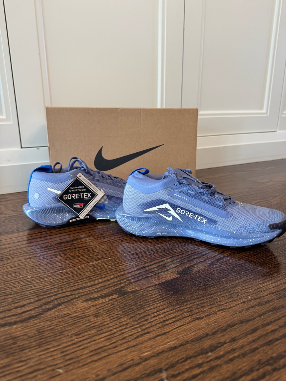 Nike Pegasus Trial 5 GORE-TEX